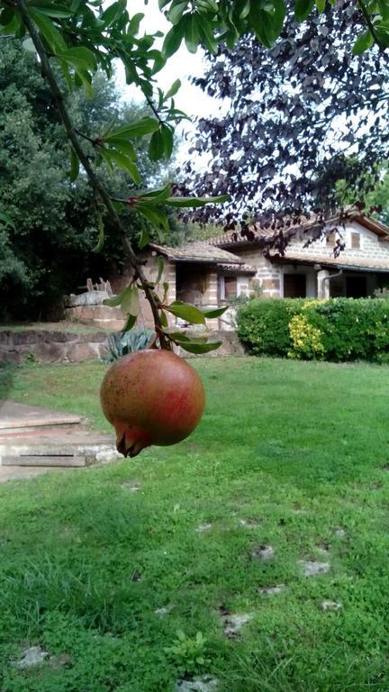Agriturismo Casale Loreto Corchiano Екстер'єр фото